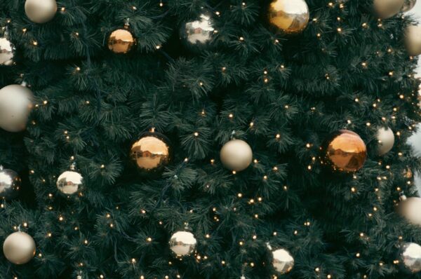 2025, 4k, 4k fotoğraf içeren Ücretsiz stok fotoğraf