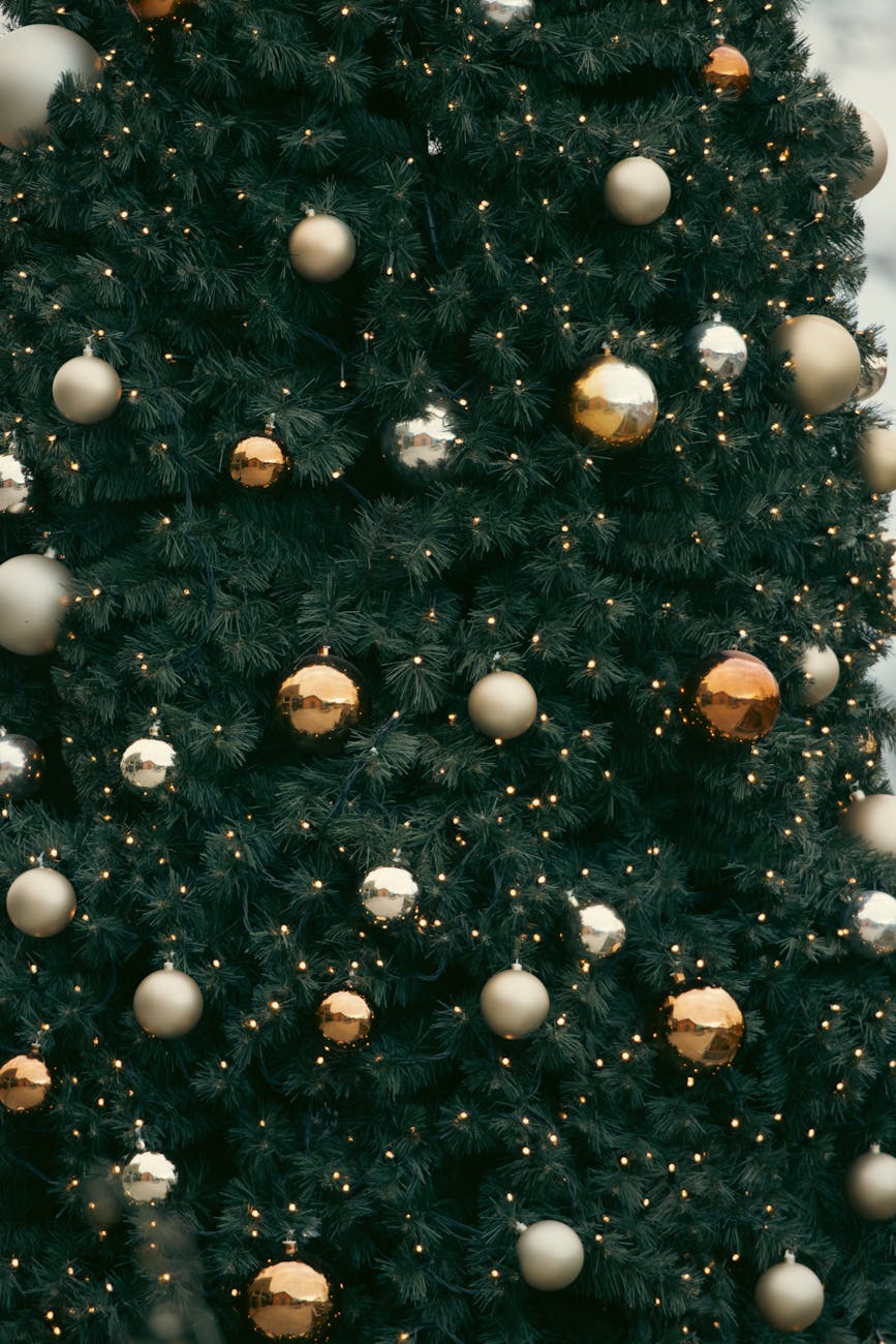 2025, 4k, 4k fotoğraf içeren Ücretsiz stok fotoğraf